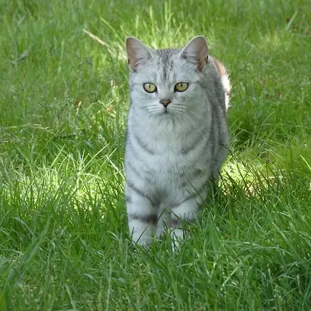 Mit Terrasse Und Garten In 펜션 *