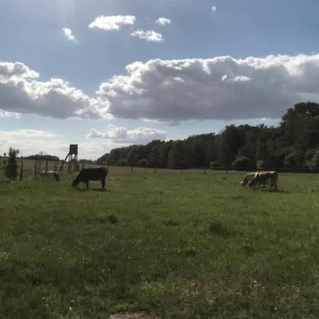 Mit Terrasse Und Garten In 반들리츠