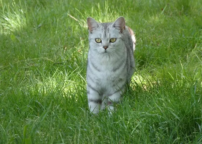 Mit Terrasse Und Garten In بيت للعطل *