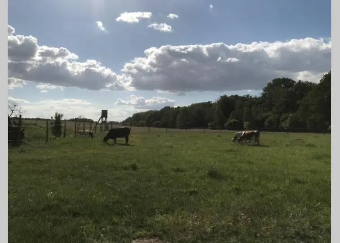 Mit Terrasse Und Garten In فاندليتس